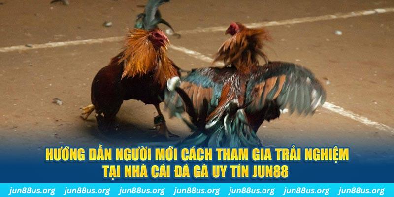 kuwingame CQ9 Điện Tử