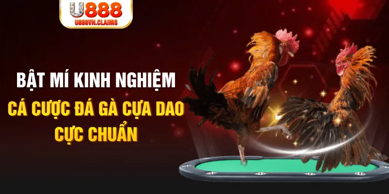 kuwingame tỷ lệ cá cược châu á là gì
