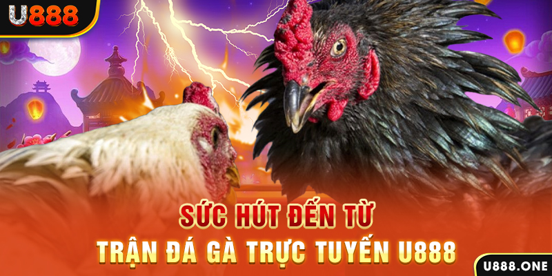 kuwingame nổ hũ b29 là gì