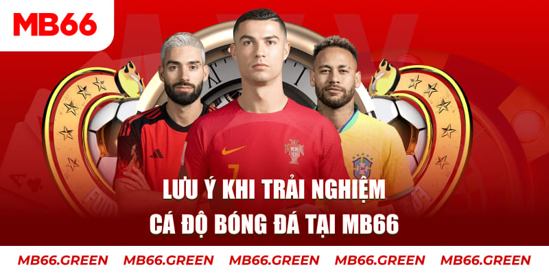 kuwingame cá cược là gì