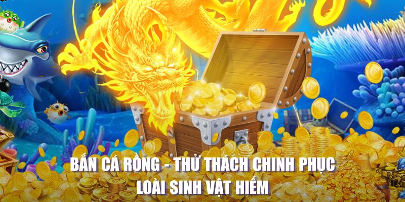 kuwingame máy slot game là loại trò chơi gì？