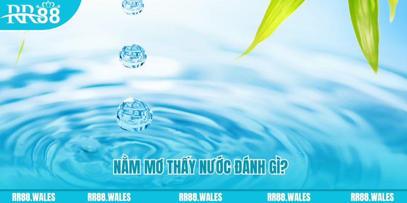 kuwingame TP Bắn cá