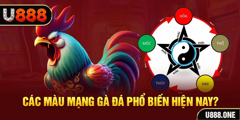 kuwingame trực tiếp đá gà 88