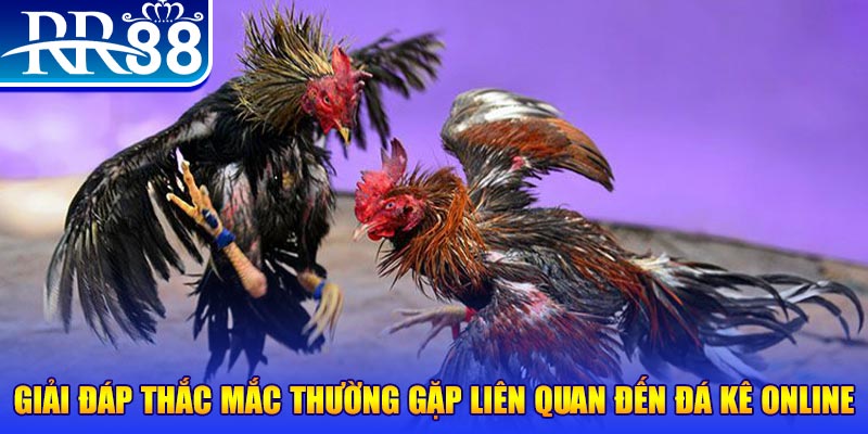 kuwingame xổ số đà lạt
