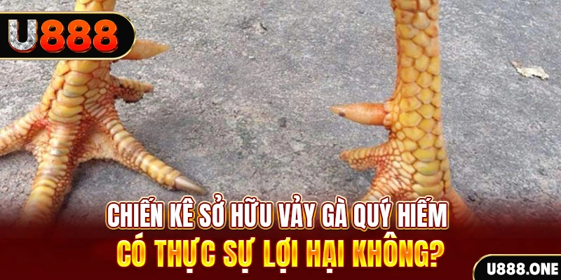 kuwingame nohu .mx nổ hủ là gì