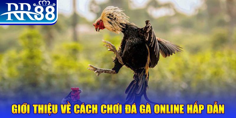 kuwingame game nổ hũ rút tiền mặt là gì