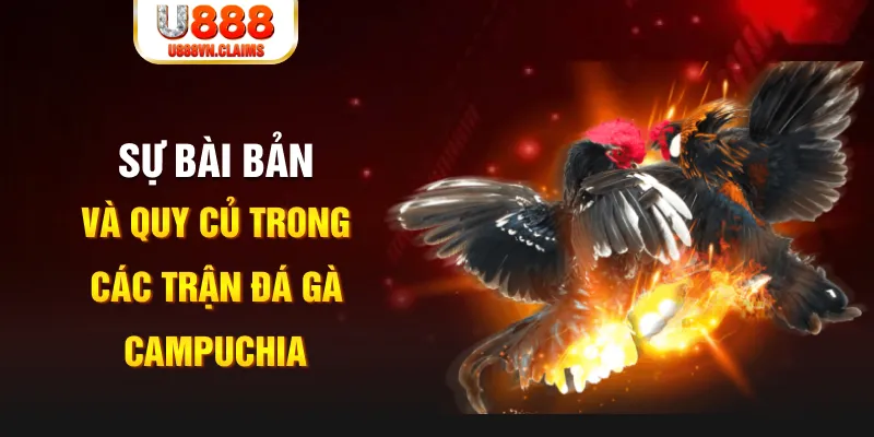 kuwingame YGR Điện Tử