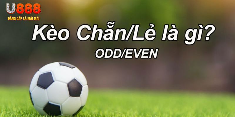 kuwingame đăng nhập poker hôm nay