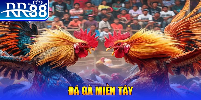 kuwingame chơi slot là gì