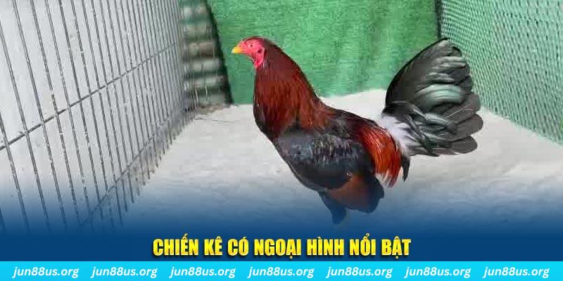 kuwingame chạy quảng cáo cho game bài bị phạt như thế nào