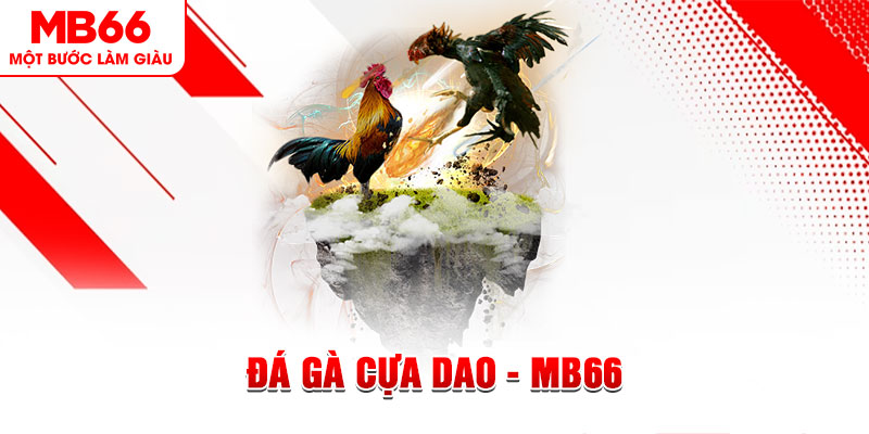 kuwingame đá gà sv388 gold