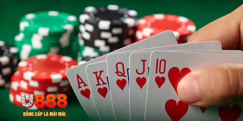 kuwingame đá gà trực tiếp thomo 67