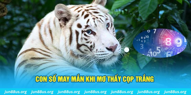 kuwingame đá gà trực tiếp 88